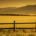 Steamboat Springs Pastoral Morning